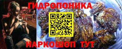 прущий лед Бийск